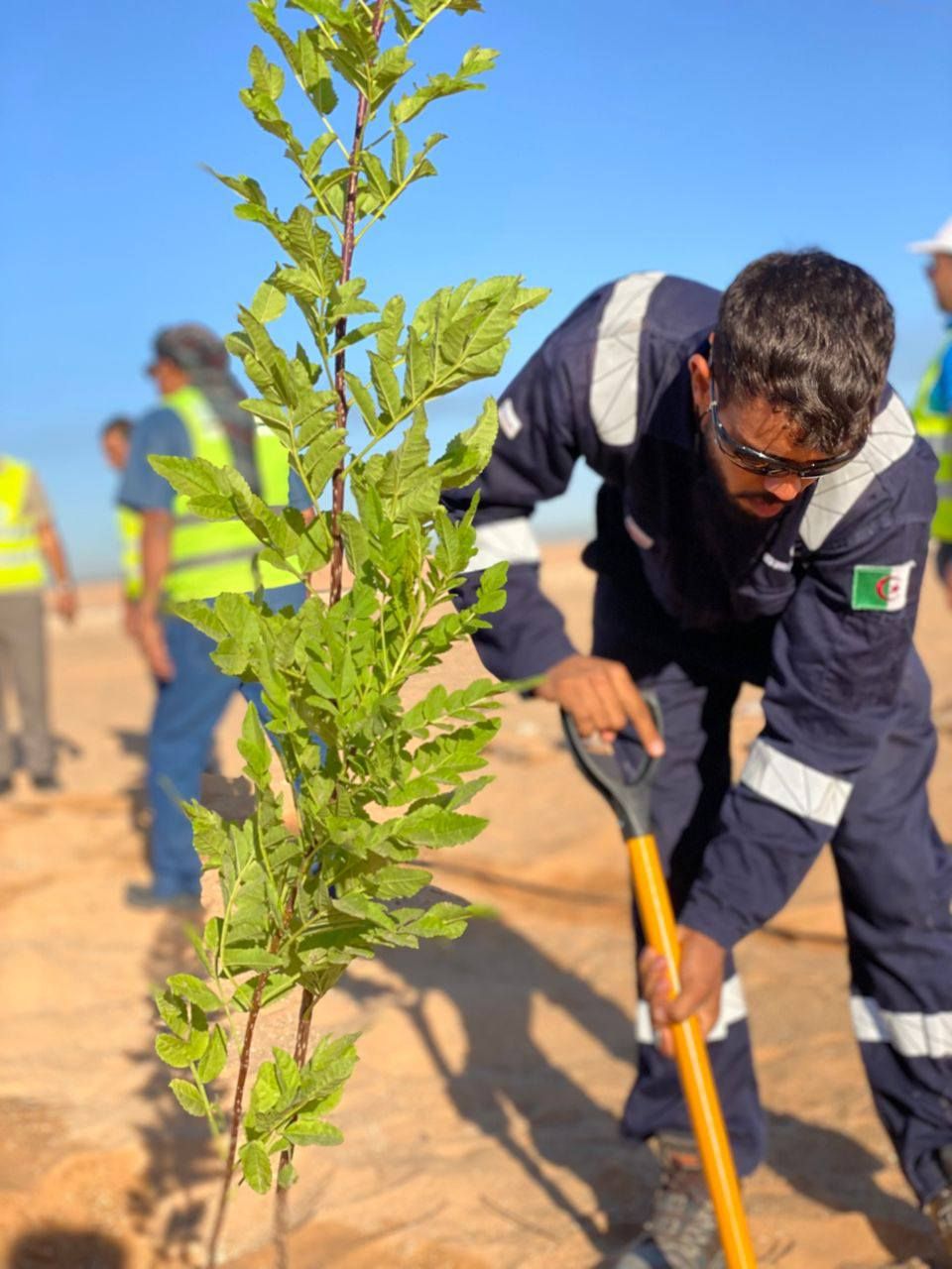 No alternative text provided