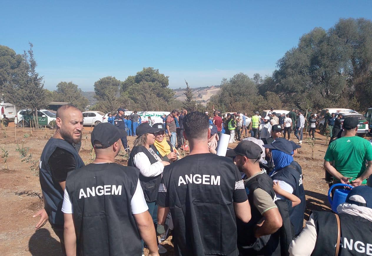 No alternative text provided